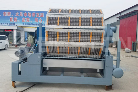 Egg Tray Equipment for Sale