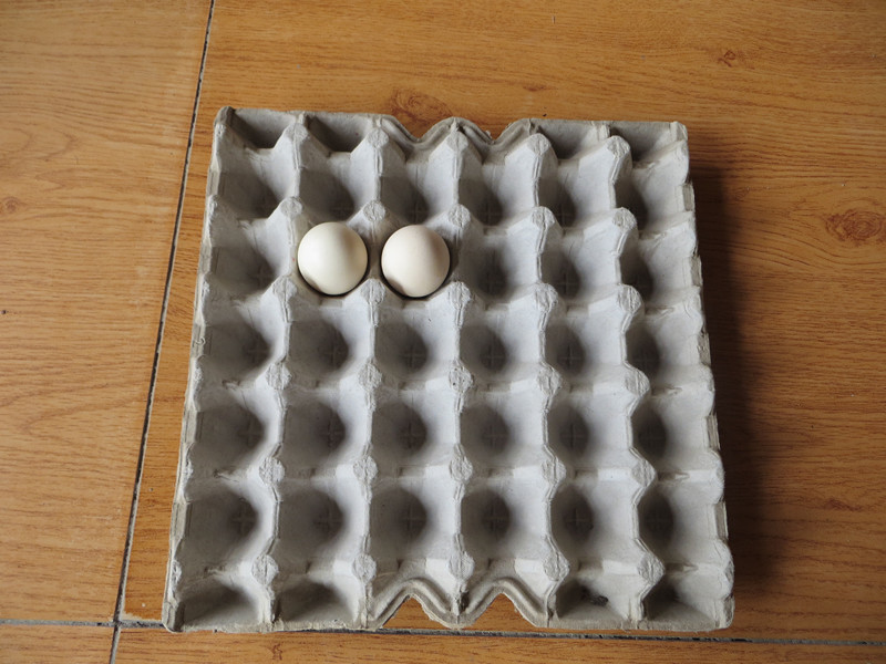 Egg Tray Produced by Beston Egg Tray Making Machine