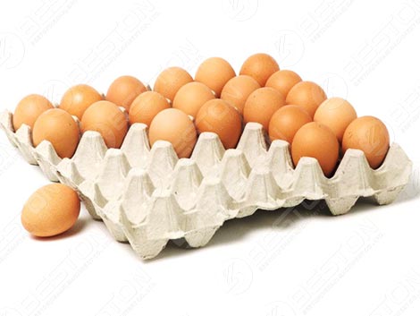 30 Egg Tray