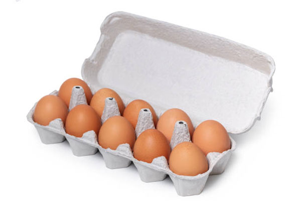 Make Paper Egg Cartons