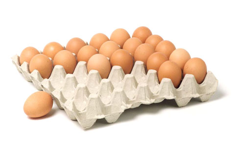 Egg Tray