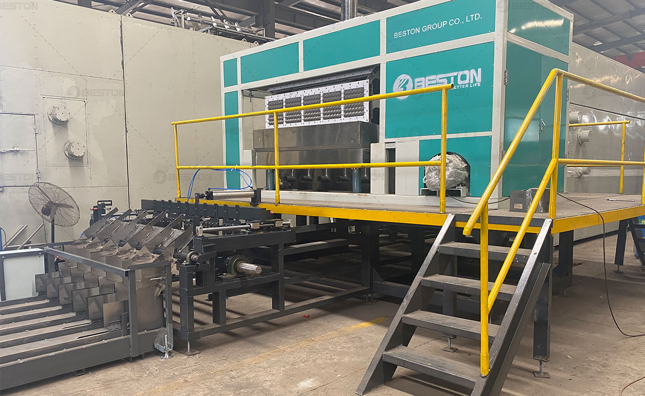 Máquina para Hacer Cartones de Huevo de Beston Group