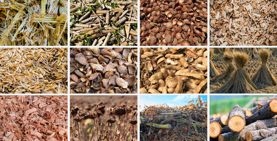 Biomass Materials Processed by Biochar Pyrolysis Machine